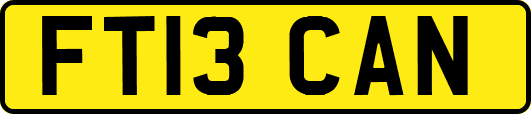 FT13CAN