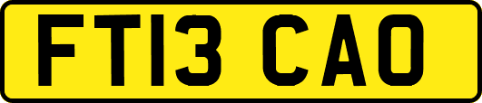 FT13CAO