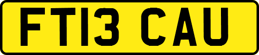 FT13CAU