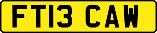 FT13CAW