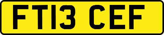FT13CEF