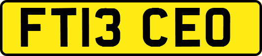 FT13CEO