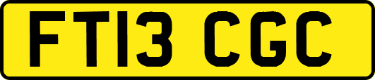FT13CGC