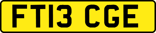 FT13CGE
