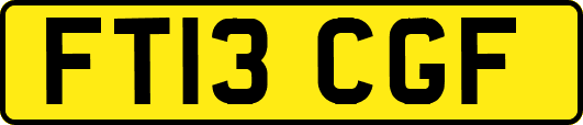 FT13CGF