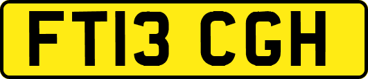 FT13CGH