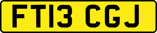 FT13CGJ