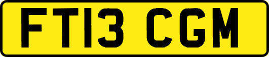 FT13CGM