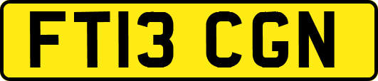 FT13CGN