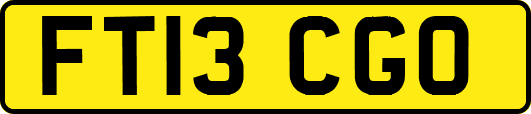 FT13CGO