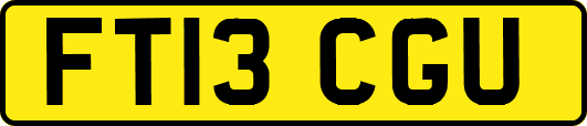 FT13CGU