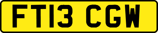 FT13CGW