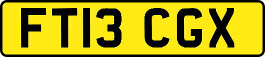 FT13CGX