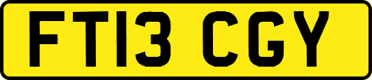 FT13CGY