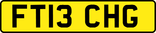 FT13CHG