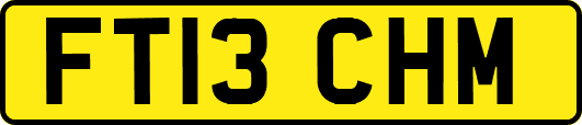 FT13CHM