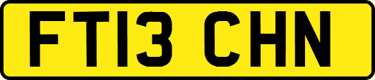FT13CHN