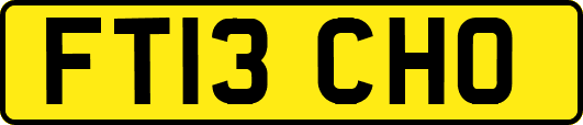 FT13CHO