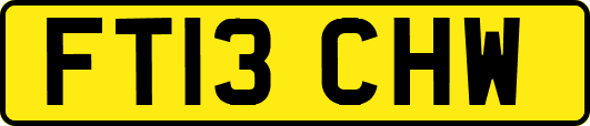 FT13CHW