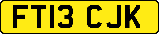 FT13CJK