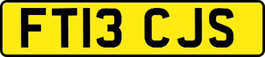 FT13CJS