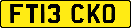 FT13CKO