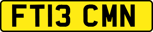 FT13CMN