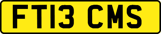 FT13CMS