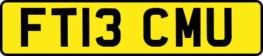 FT13CMU