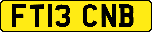 FT13CNB