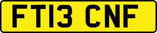 FT13CNF