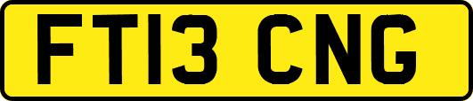 FT13CNG
