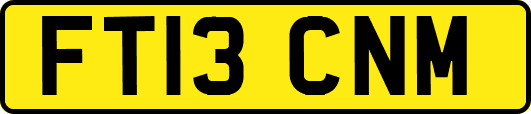 FT13CNM