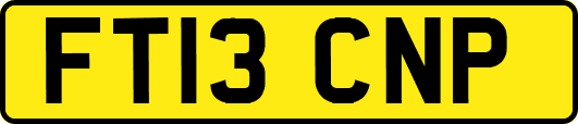 FT13CNP
