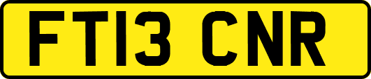 FT13CNR