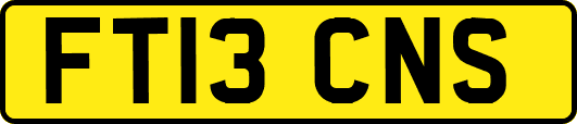 FT13CNS