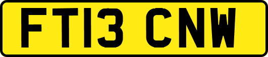FT13CNW