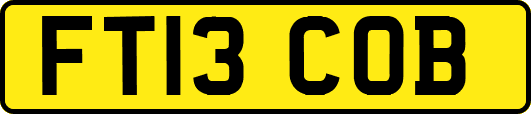 FT13COB
