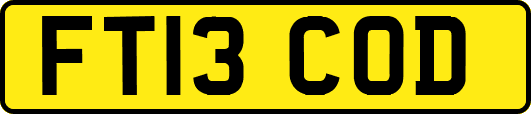FT13COD