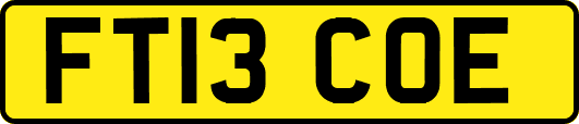FT13COE
