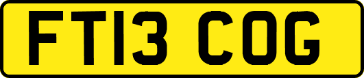 FT13COG