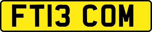 FT13COM