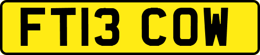 FT13COW