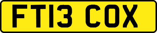 FT13COX