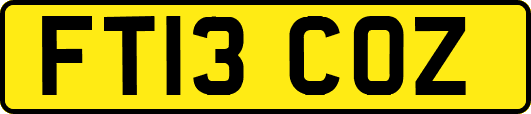FT13COZ