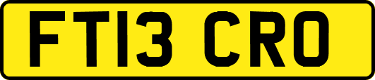FT13CRO