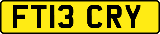 FT13CRY