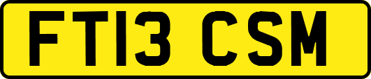 FT13CSM