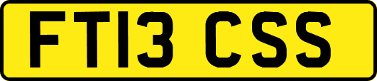 FT13CSS