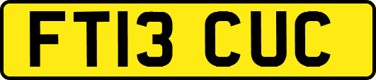FT13CUC
